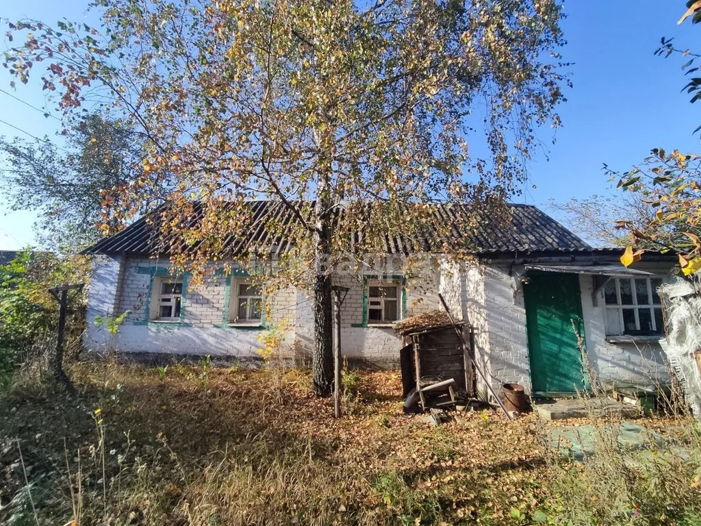 Крепкий дом в селе с развитой инфраструктурой - Фото 13