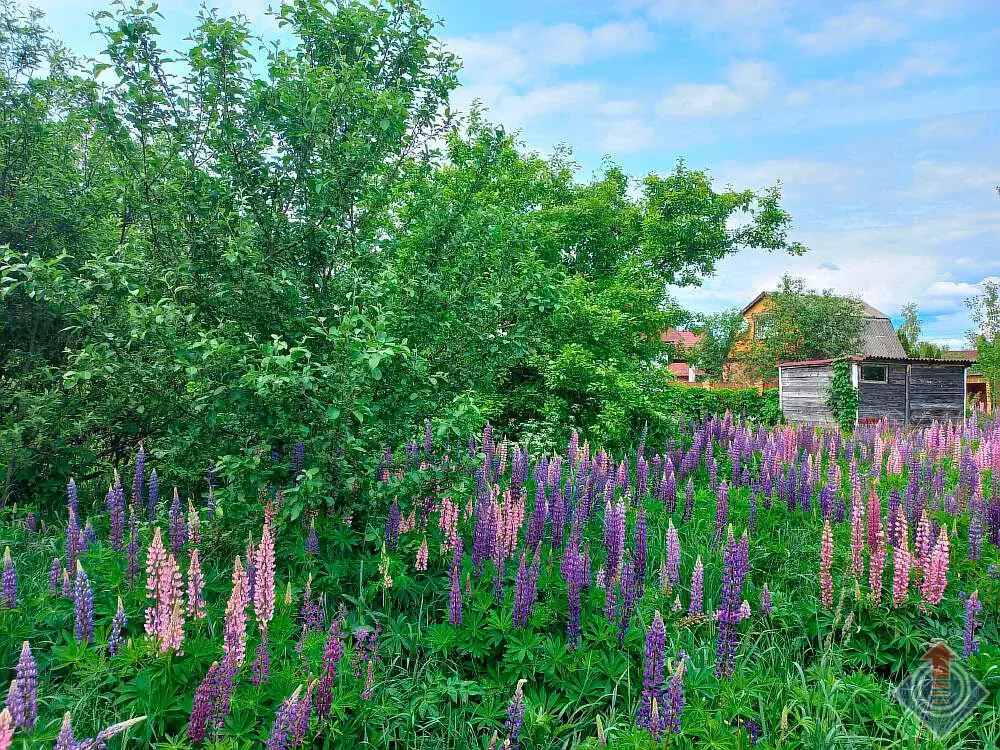 Продажа лесной дачи на 10 сот. в СНТ Порядино, Наро-Фоминский район - Фото 17