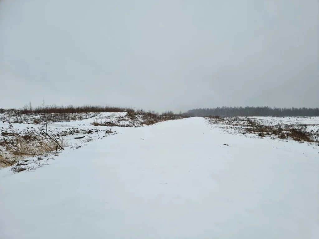 Продажа участка, Разметелево, Всеволожский район - Фото 4