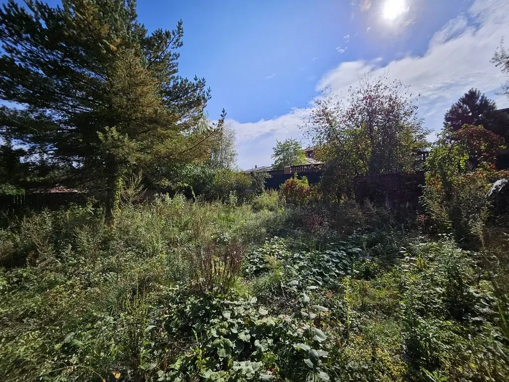 Продажа участка в Новой Москве, СНТ Газовик - Фото 15