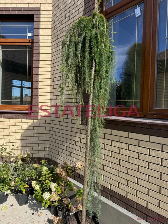 Продажа дома, Фоминское, Первомайское с. п., ул. Московская - Фото 12