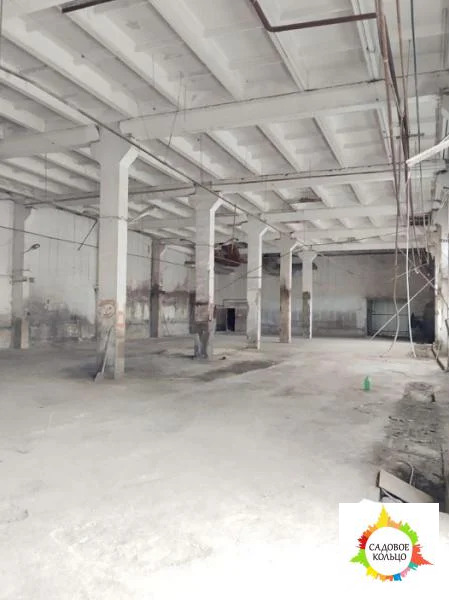 Лобня - Фото 2