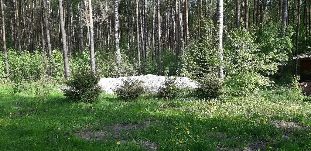 Всеволожский район, д. Большие Пороги, 12 сот.СНТ" Большие Пороги" + д - Фото 30