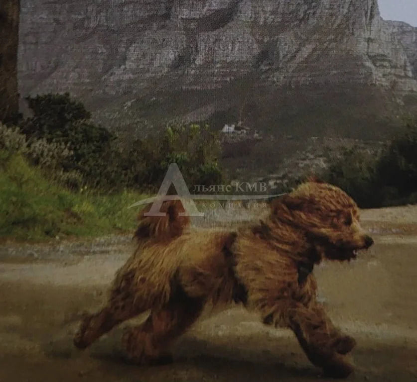 Продажа квартиры, Железноводск, ул. Ленина - Фото 18