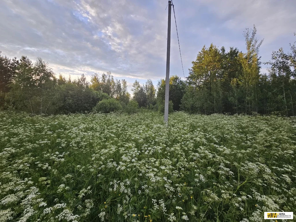 Продажа участка, Карабаново, Богородский г. о. - Фото 6