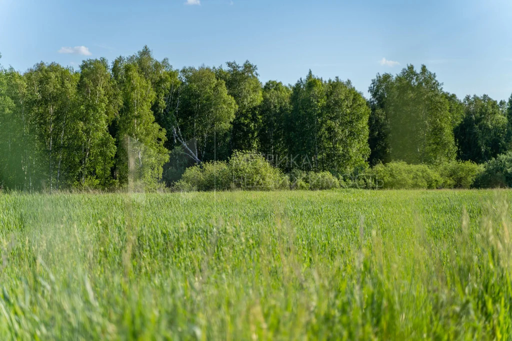 продажа участка, ермолина, слободо-туринский район, слободо-туринский . - Фото 0