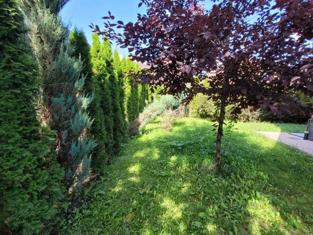 Дом, Пушкино г.о., Тишково Парк, д. 114 - Фото 24