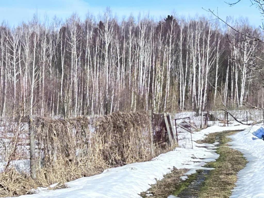 Продажа участка, Дмитровский район - Фото 11