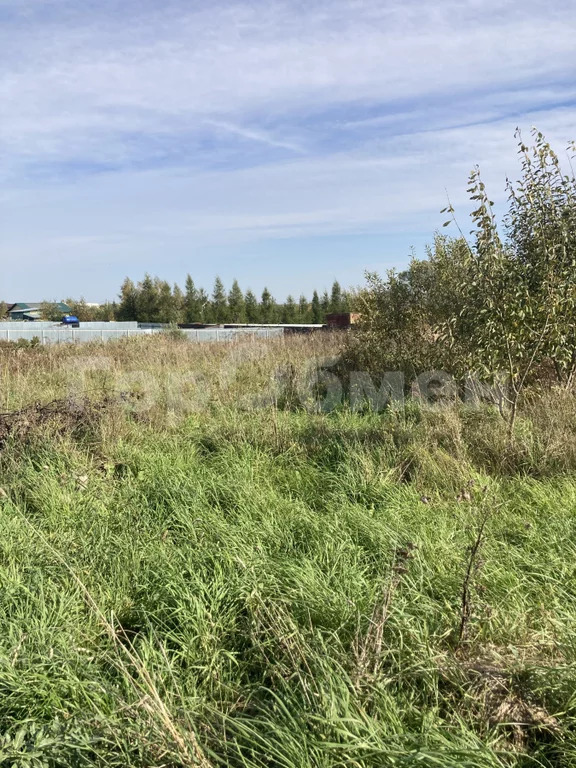 Продажа участка, Шарапово, Зарайский район, Озёрная улица - Фото 1
