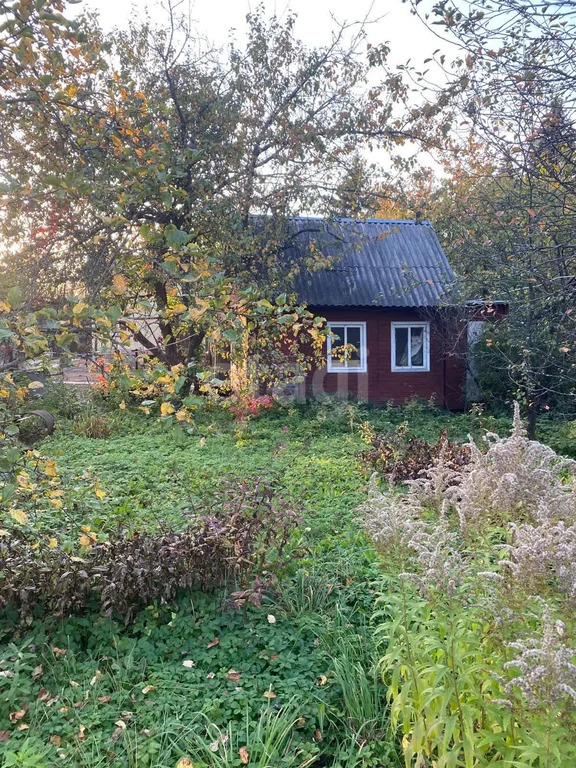 Продажа участка, Богородский г. о., садовое товарищество Строитель - Фото 7