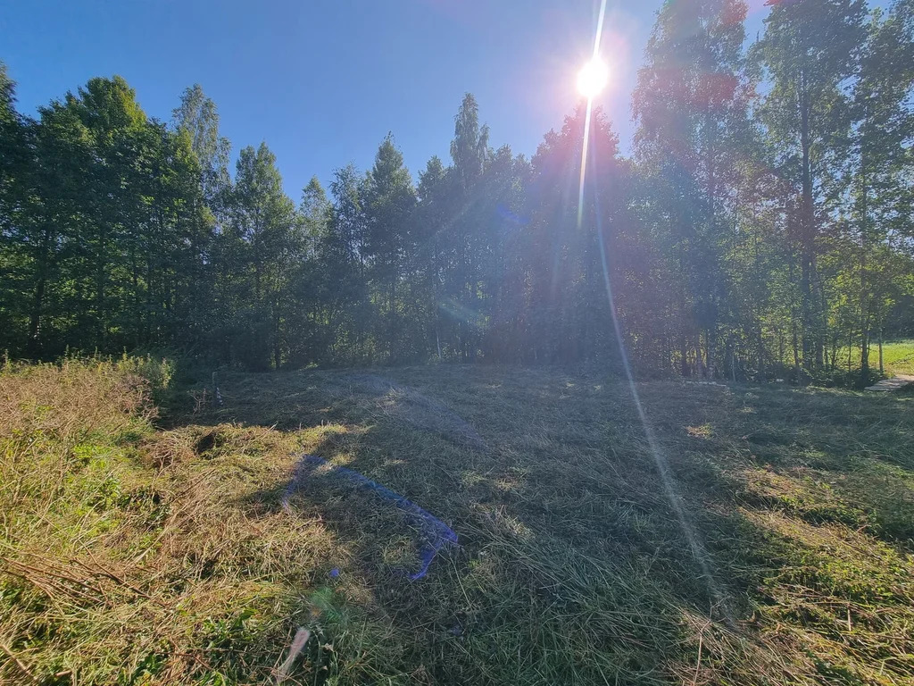 Продажа участка, Большие Пороги, Всеволожский район - Фото 5