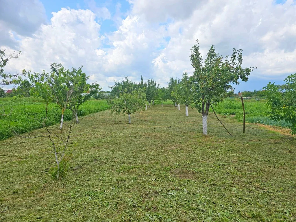 Продажа дома, Старонижестеблиевская, Красноармейский район, ул. ... - Фото 19