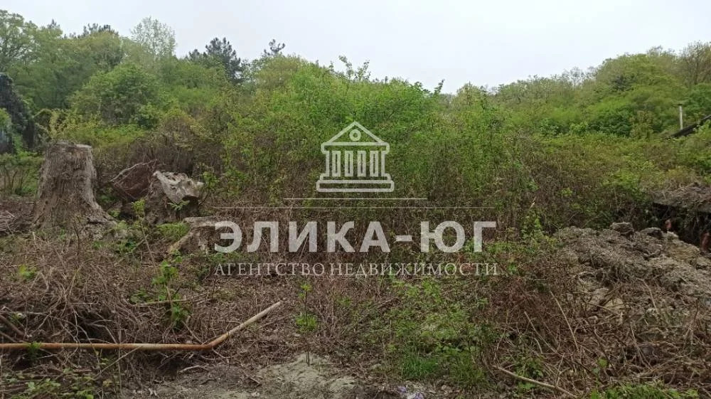 Продажа участка, Пляхо, Туапсинский район, ул. Лесная - Фото 3