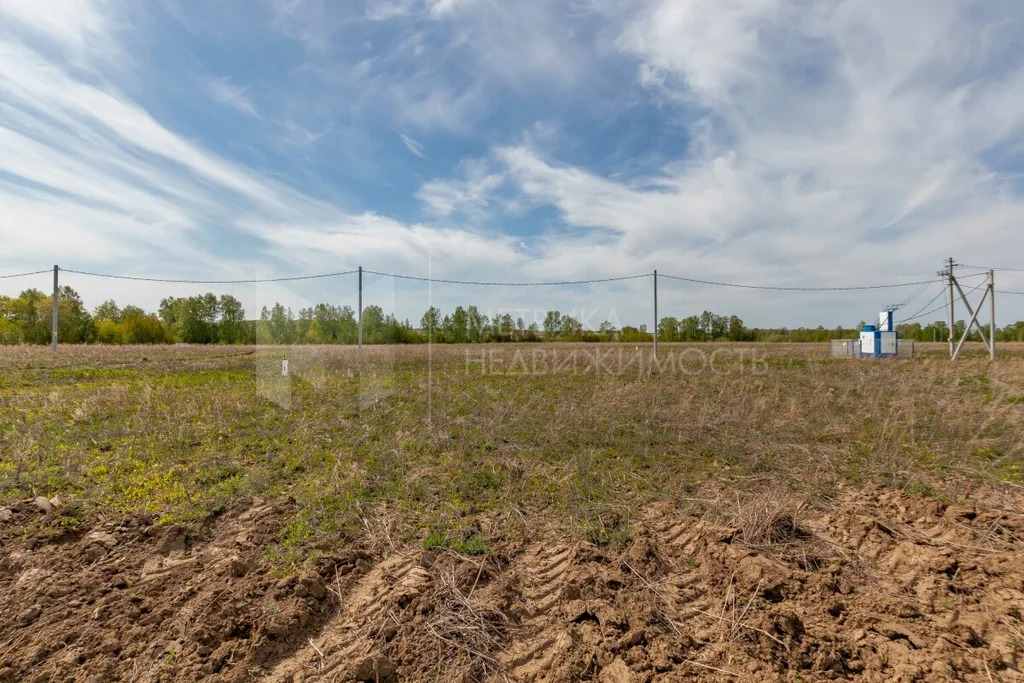 Продажа участка, Большие Акияры, Тюменский район, Тюменский р-н - Фото 22