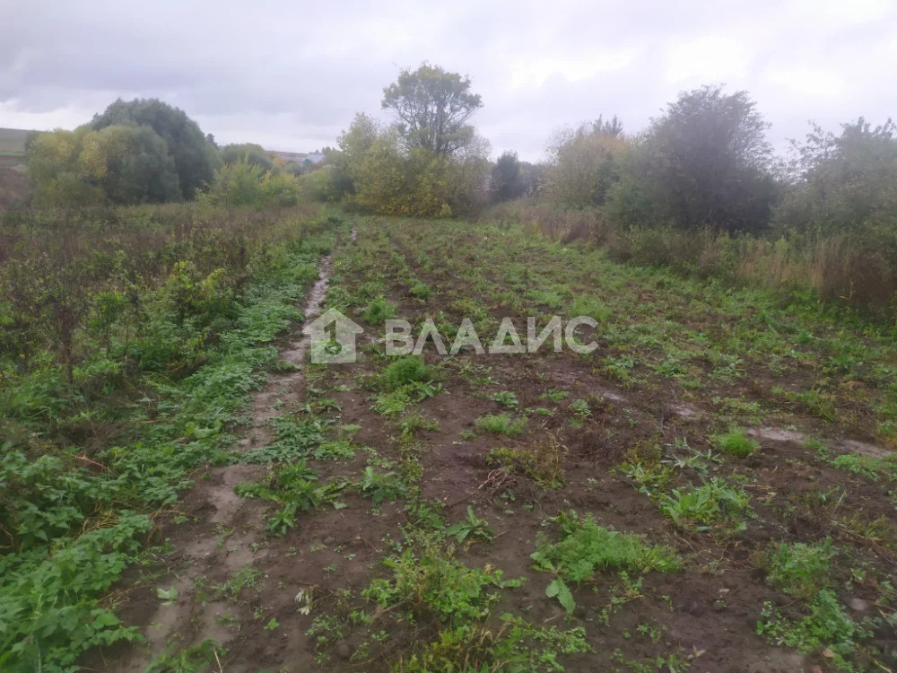 Суздальский район, село Борисовское, Пантелеевская улица,  земля на ... - Фото 1