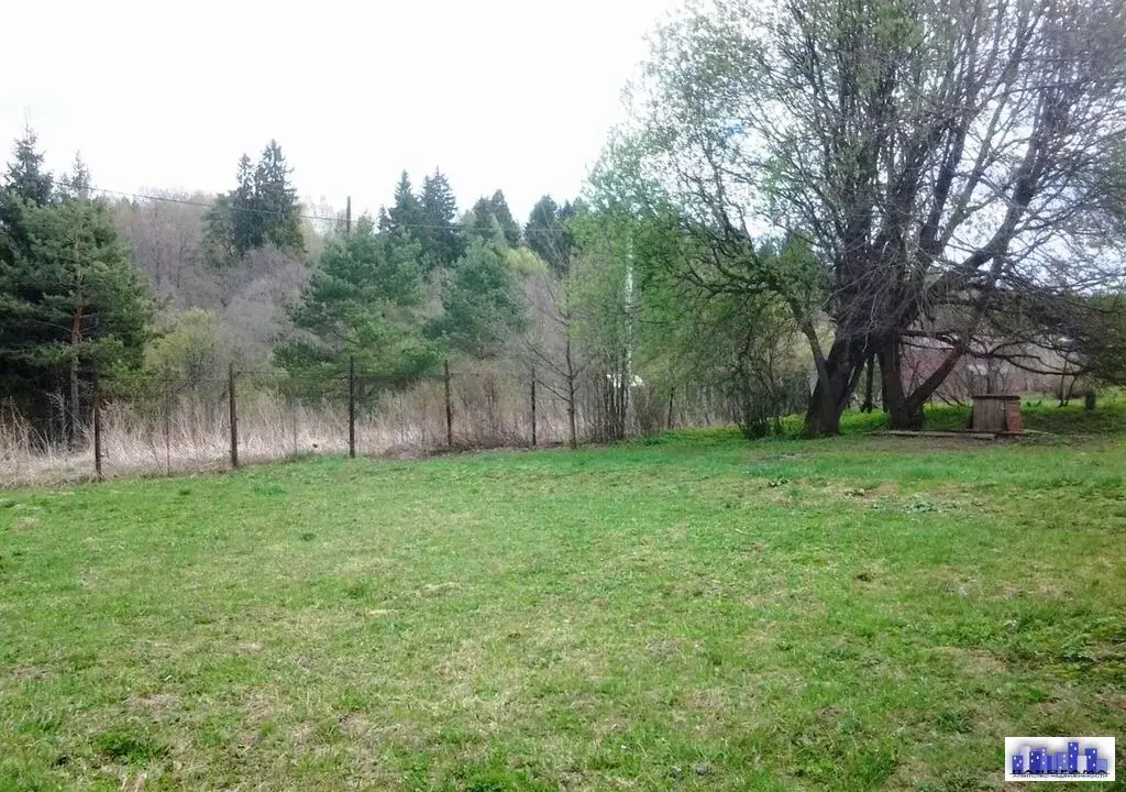 Участок 13,19 сотки ЛПХ в д. Судниково - Фото 5