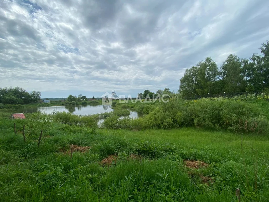 Козельский район, село Ильинское, Центральная улица,  дом на продажу - Фото 28