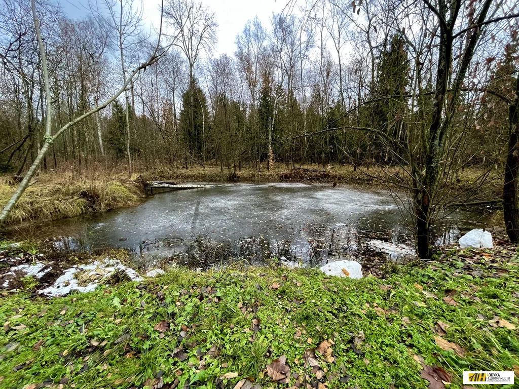 Купить Земельный Участок В Красногорский Район