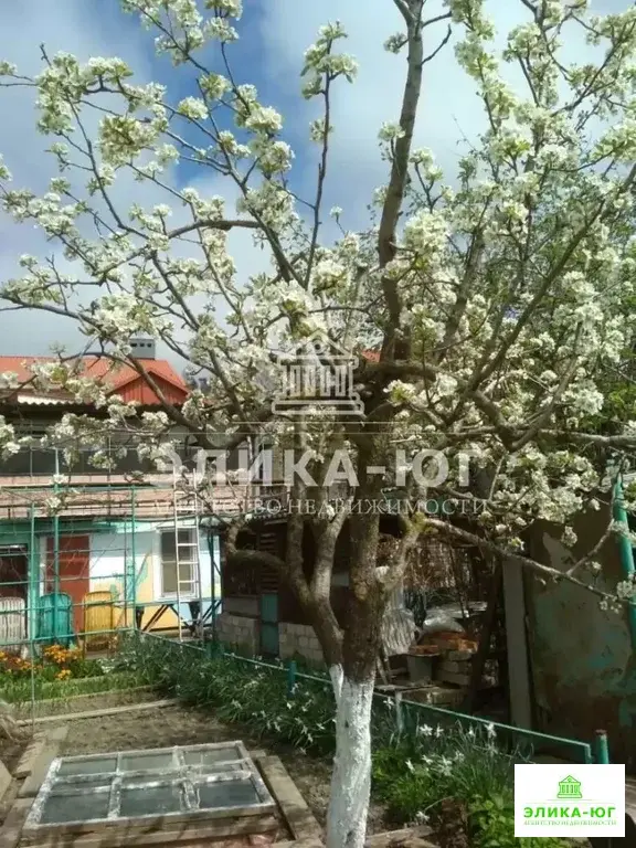 Продажа дома, Джубга, Туапсинский район, ул. Совхозная - Фото 4