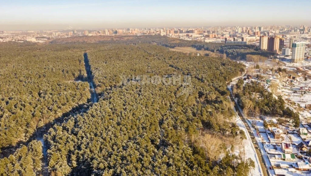 Продажа квартиры, Новосибирск, ул. Сухарная - Фото 3