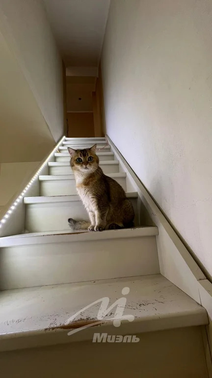 Продажа квартиры, Химки, ул. Первомайская - Фото 17