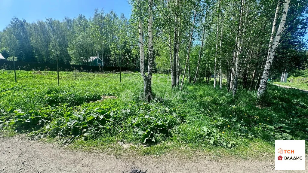 Продажа участка, Зеленоградский, Пушкинский район, ул. Речная - Фото 6