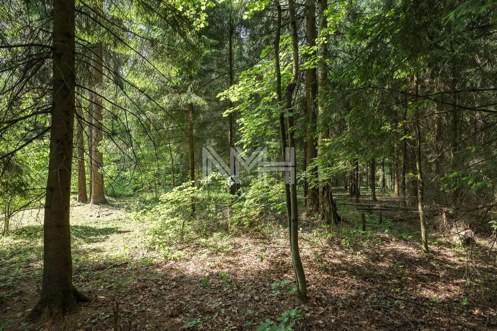 Продажа участка, Изварино, Внуковское с. п, Ул. Новоизваринская - Фото 3