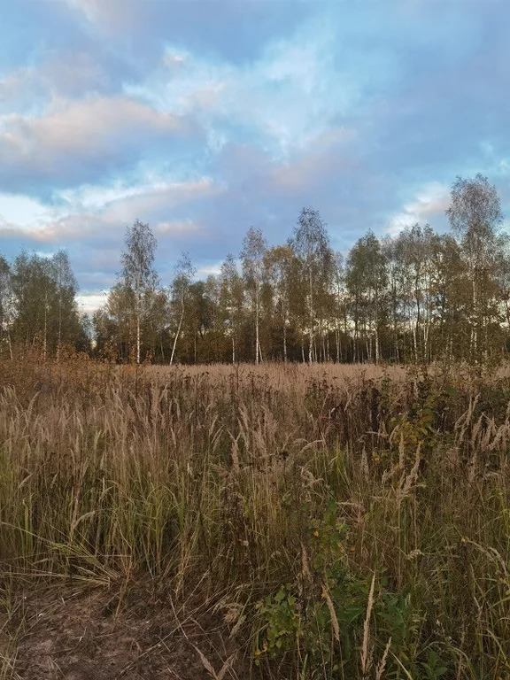 Продажа участка, Раменское, Раменский район, Хрипань д. - Фото 1