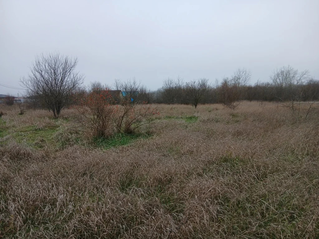 Продажа участка, Абинск, Абинский район, улица Сургутская - Фото 5