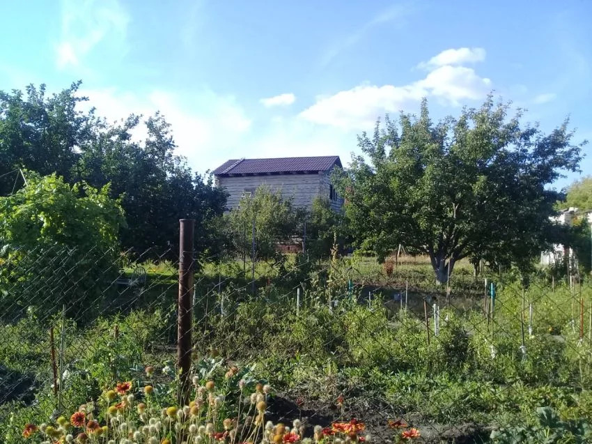 вязовка татищевский район. вязовка. деревня вязовка. село вязовка вязовка саратовская область. погода саратовская область село вязовка.