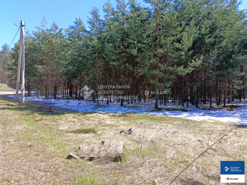 Продажа участка, Алеканово, Рязанский район - Фото 4