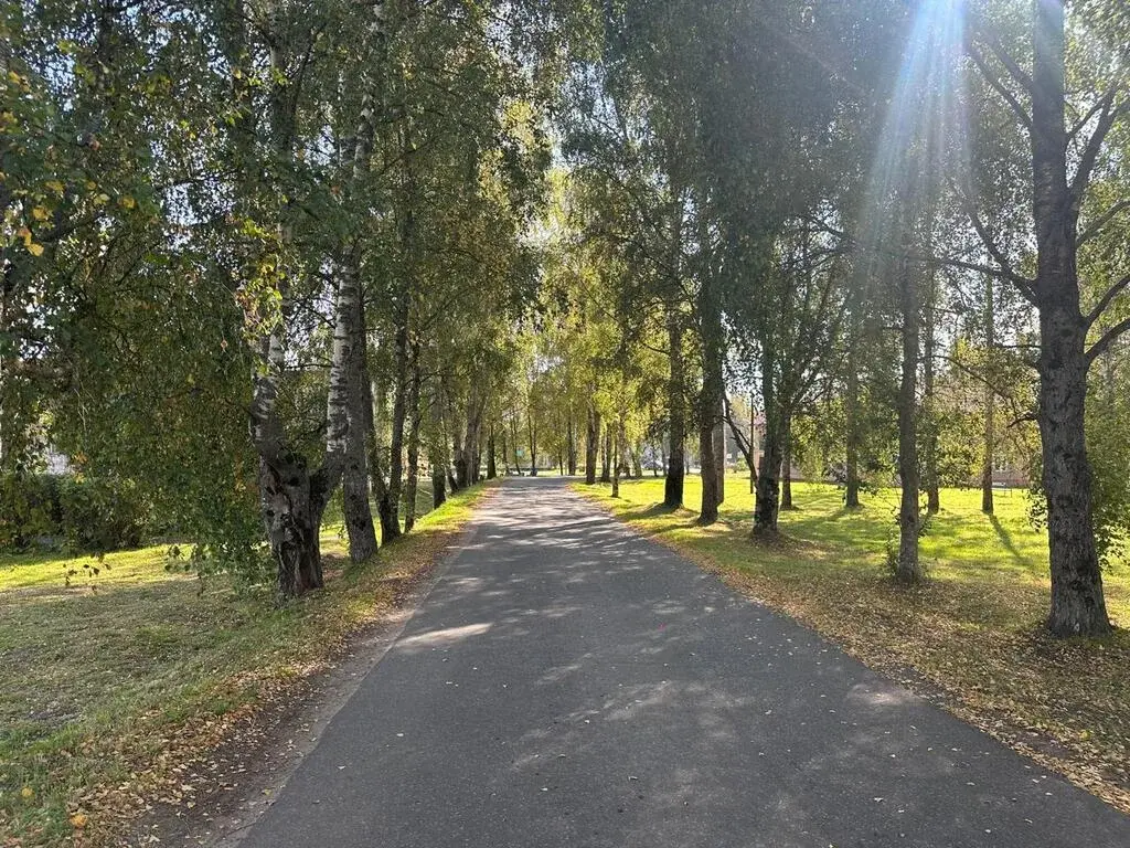 3-к. квартира, 51 м2, 1/2 эт. - Фото 16