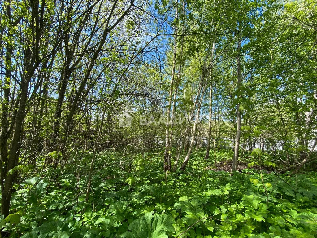 Ленинский городской округ, деревня Жабкино, Троицкая улица,  земля на ... - Фото 9