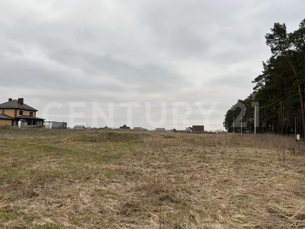 Продажа участка, Кореневщино, Добровский район, Набережная ул. - Фото 10