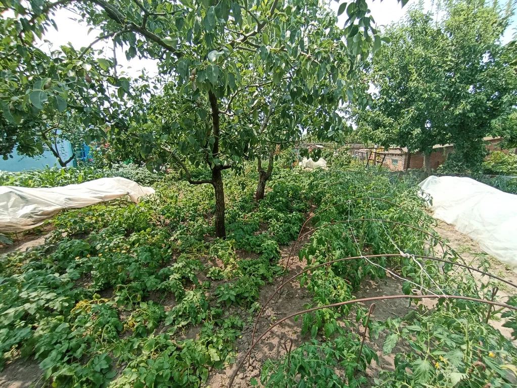 Продажа дома, Темрюк, Темрюкский район, ул. Кириллова - Фото 11