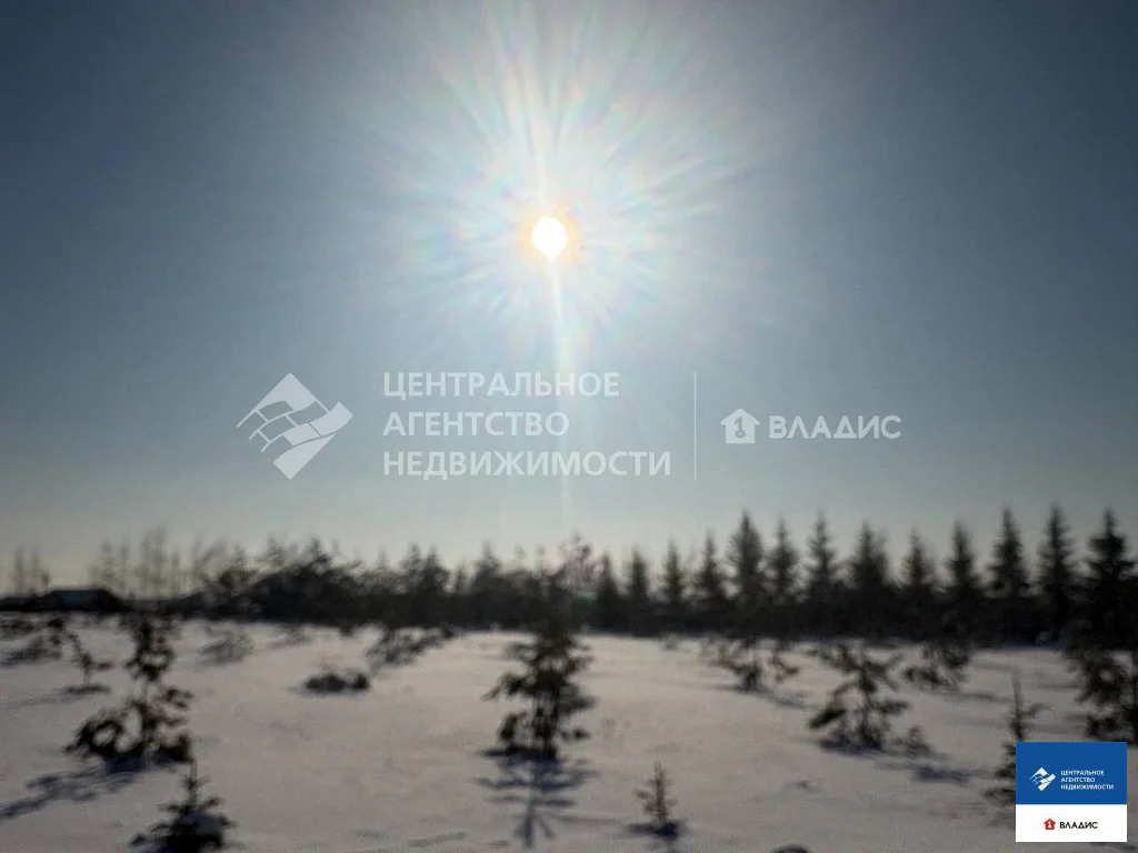 Продажа участка, Дубняки, Рязанский район - Фото 9