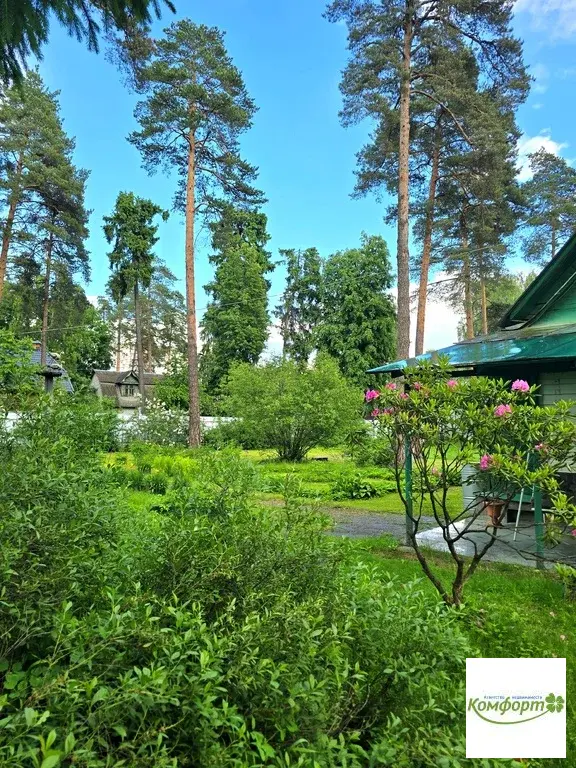 Продается участок 30 сот. в черте гор. Раменское, ул. Сосновая, уч.10 - Фото 5