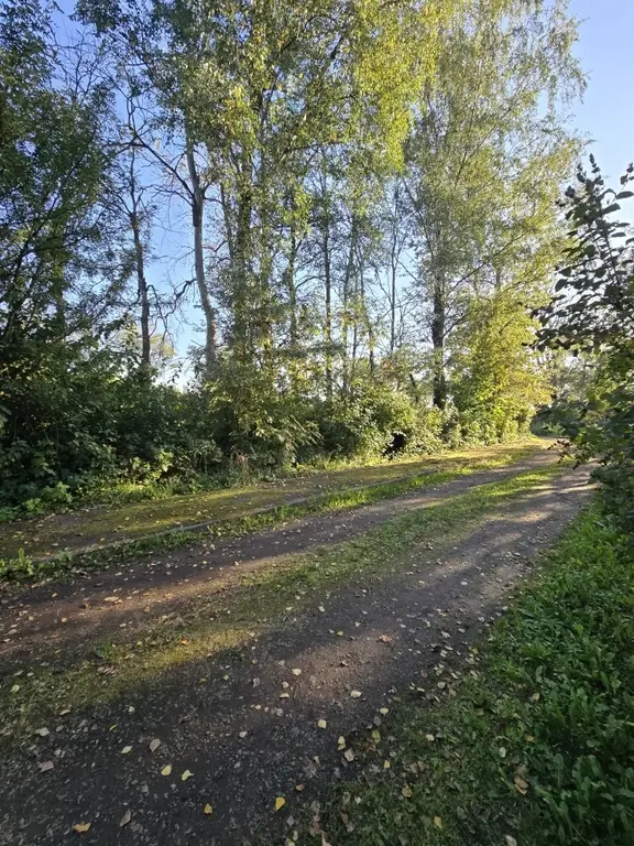 Продаю дом в д. Крутицы - Фото 38