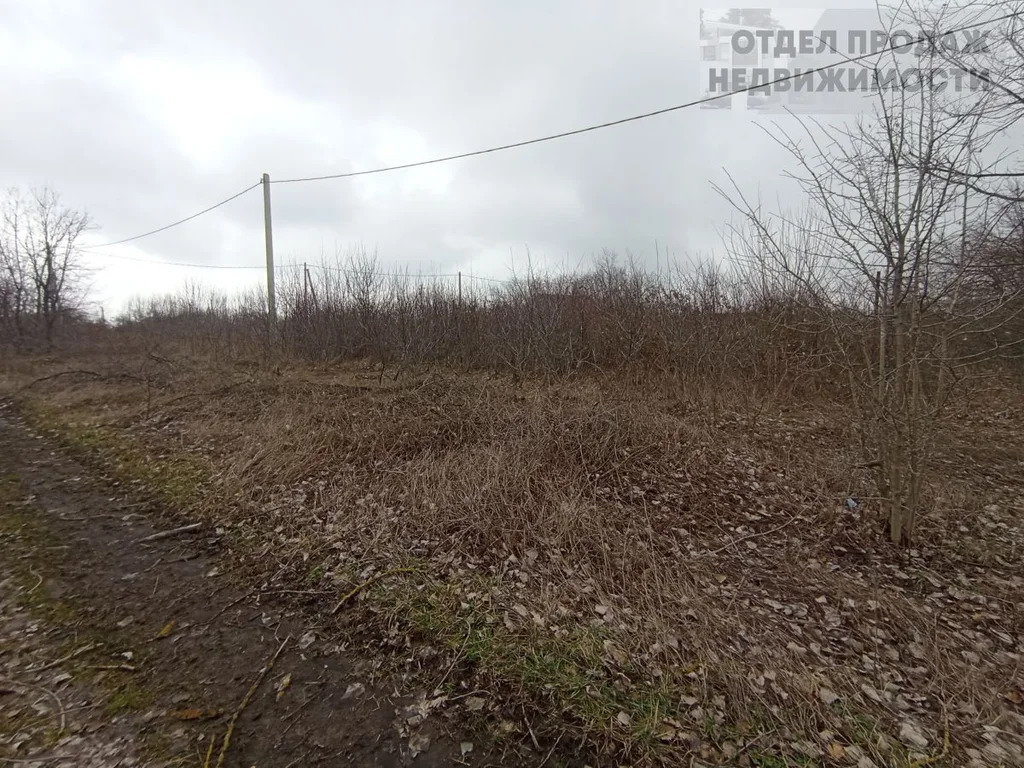 Участок - Фото 6