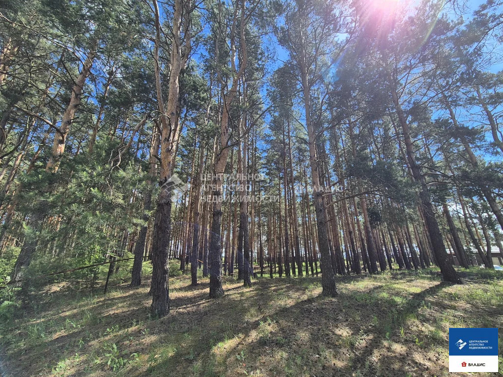 Продажа участка, Рязанский район - Фото 2