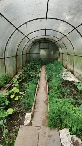 Дача 100 м на участке 14,6 сот. - Фото 4