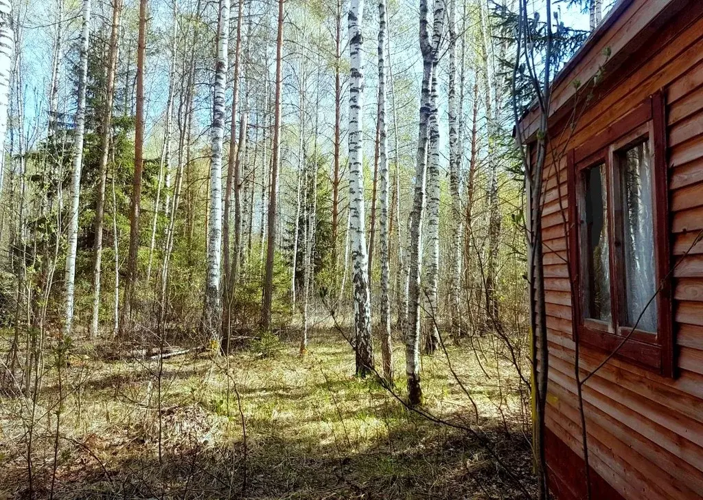 Ферма В Д Саньково Клинского Района Фото