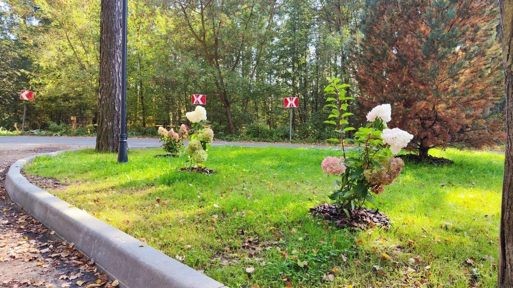 Коттедж 185.3 м2 на участке 8 сот. - Фото 8