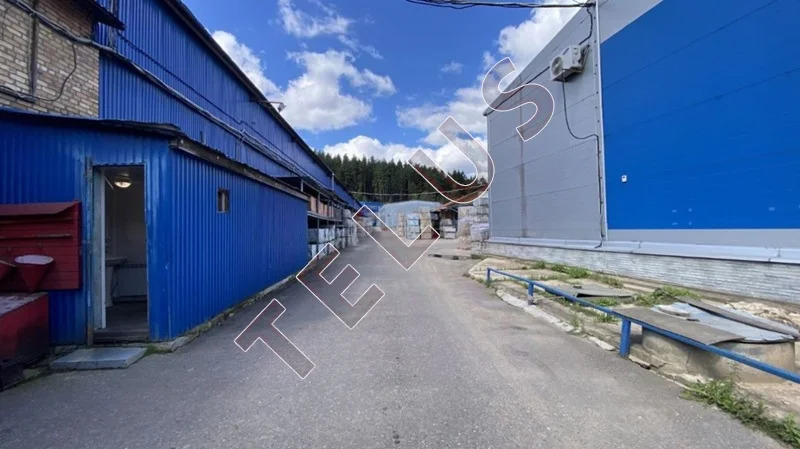 МО, Химки, д Черная Грязь, 6000 м2, Складской комплекс (ном. объекта: ... - Фото 11