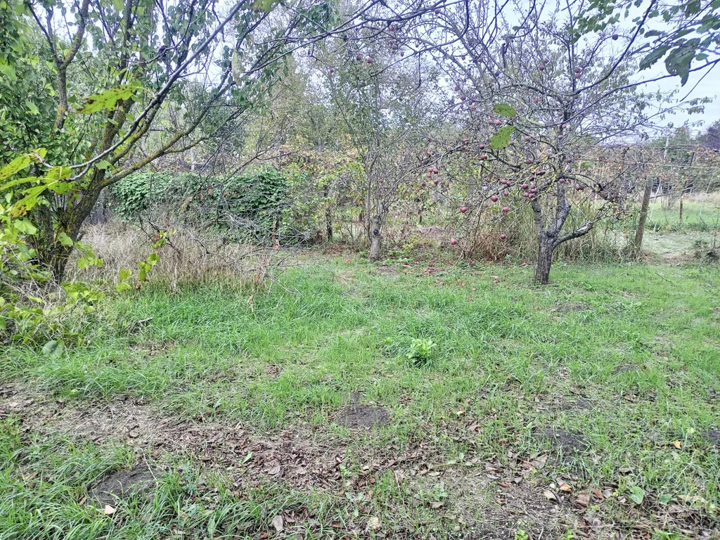 Продажа участка, Темрюк, Темрюкский район, ул. Анджиевского - Фото 3