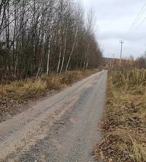 Богородское 25. Лисьи ямки Нижегородская область. Нижегородская обл., Богородский муниципальный округ, д. Оринкино.