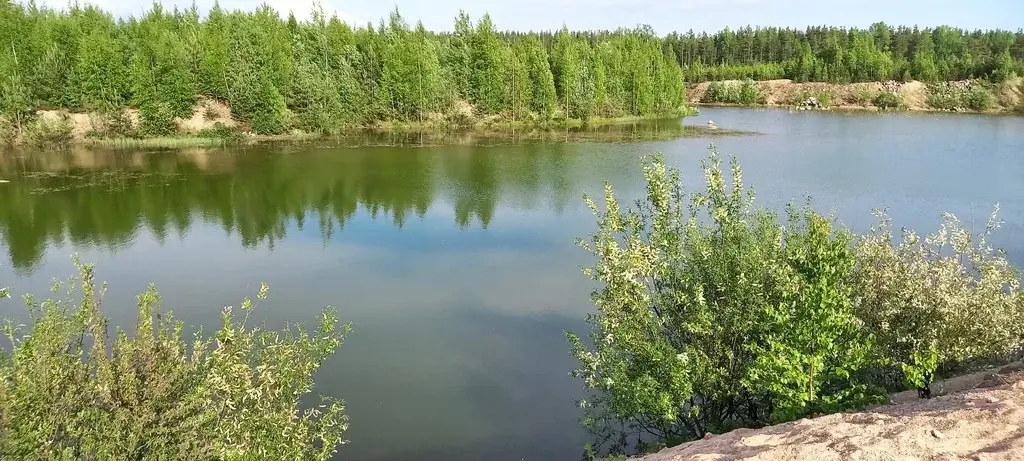 Продаю садовый домик с участком в Шевелёво - Фото 16