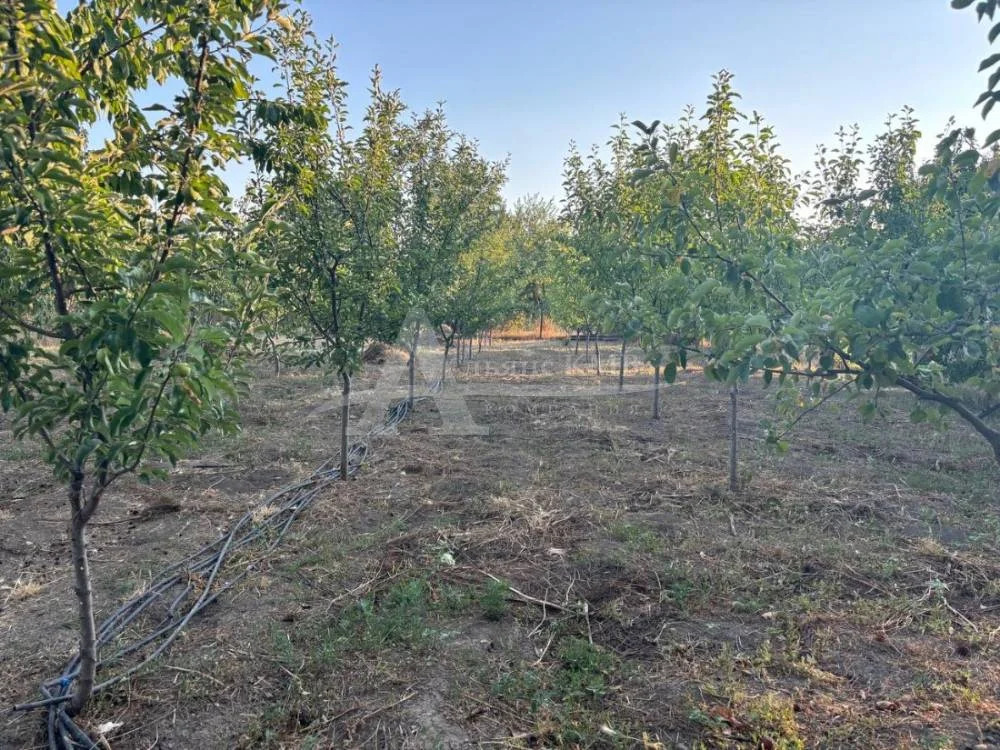 Продажа дома, Новопавловск, Кировский район, ул. Ставропольская - Фото 10