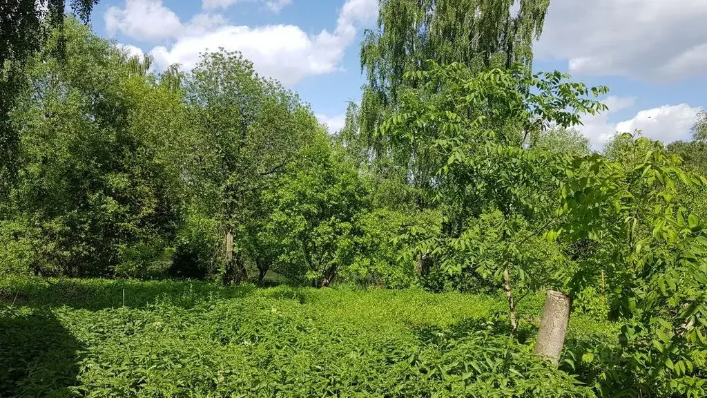 Купить Участок В Балашихе