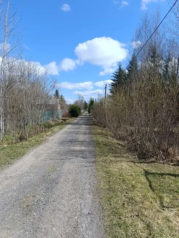 Уютный деревянный дом 64 м.на участке 12 соток - Фото 4